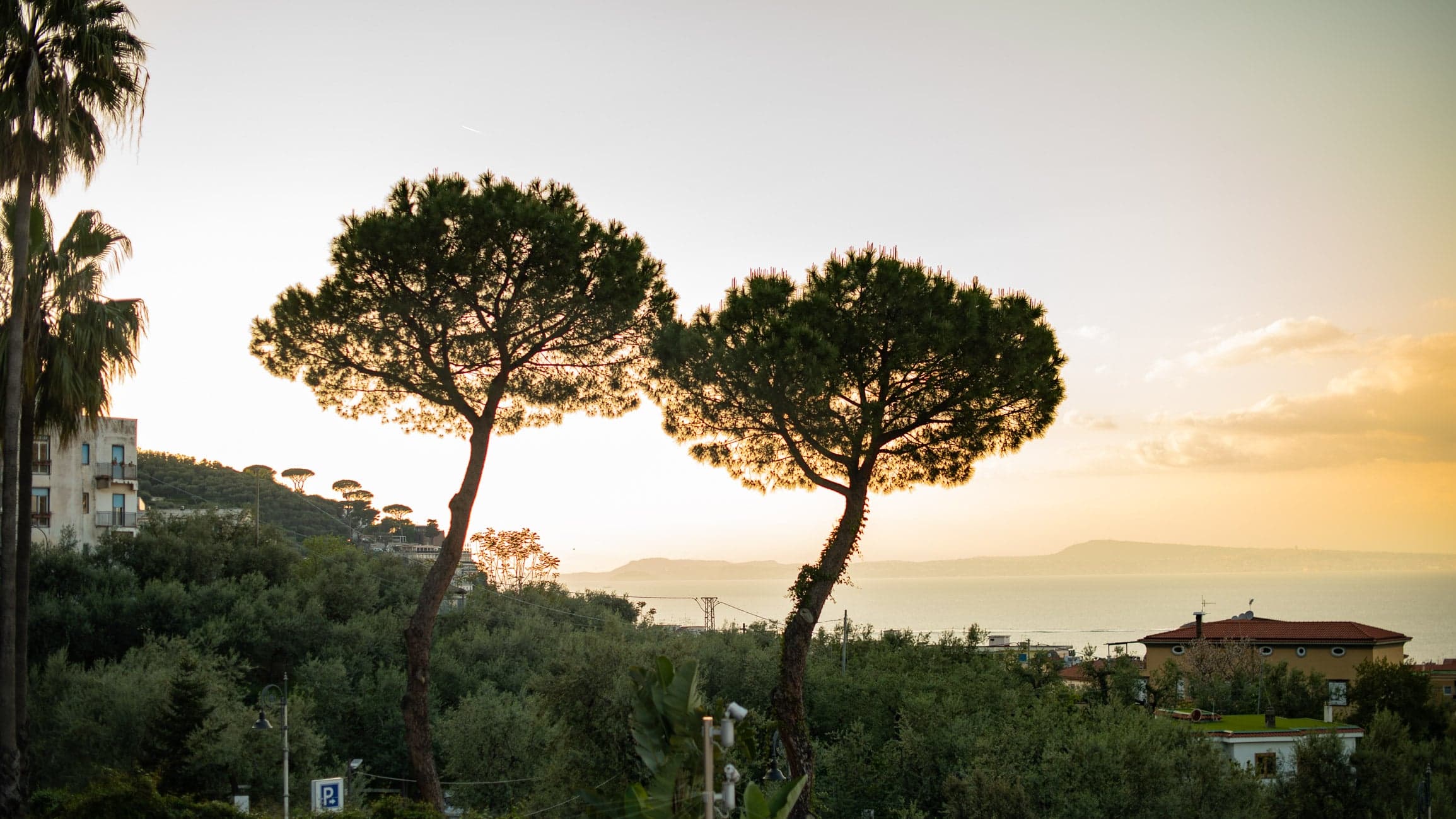 M&I Private Sorrento 2024 Case Study