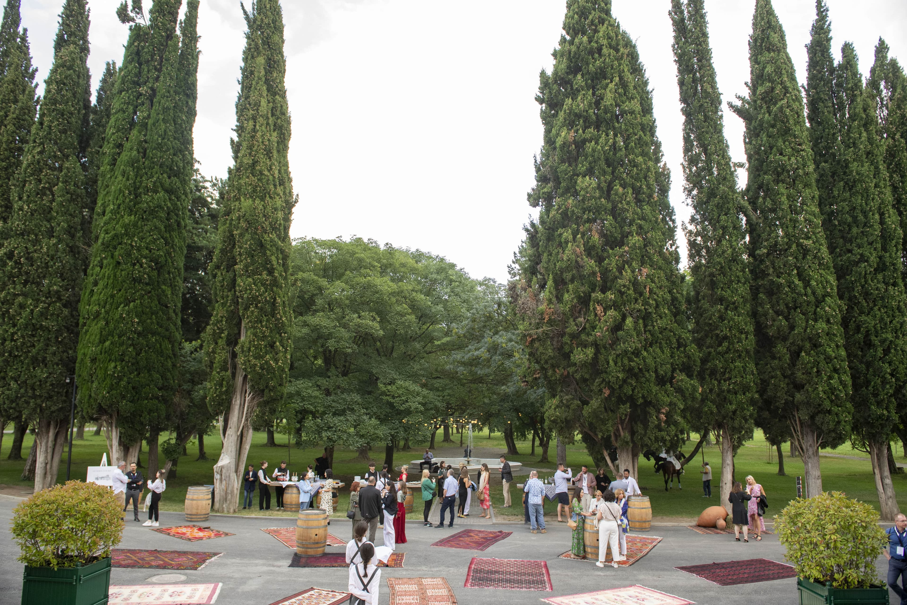 M&I Flagship Tbilisi 2024 Case Study