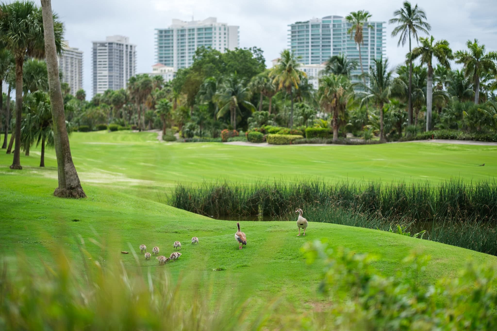M&I Flagship Miami 2024 Case Study