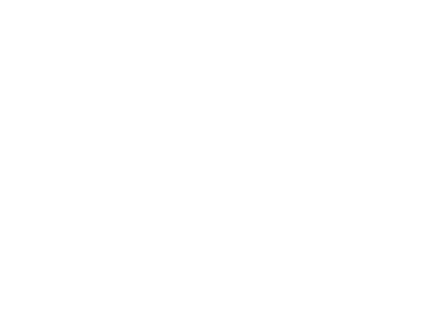 Brooklyn Bowl Logo