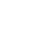 Vector