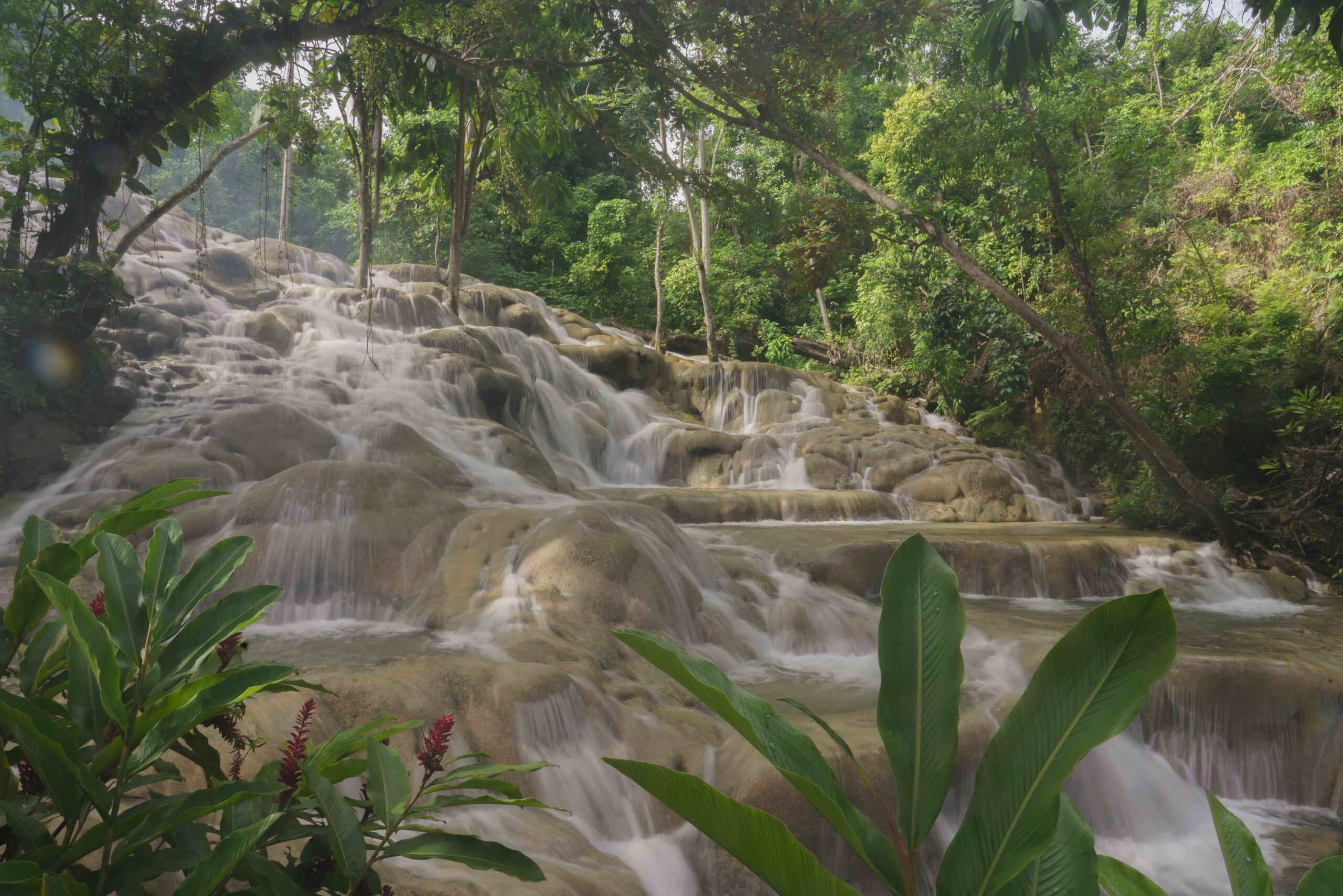 091_JTB_Ocho_Rios_Nature_Waterfall_Dunn’s River Falls