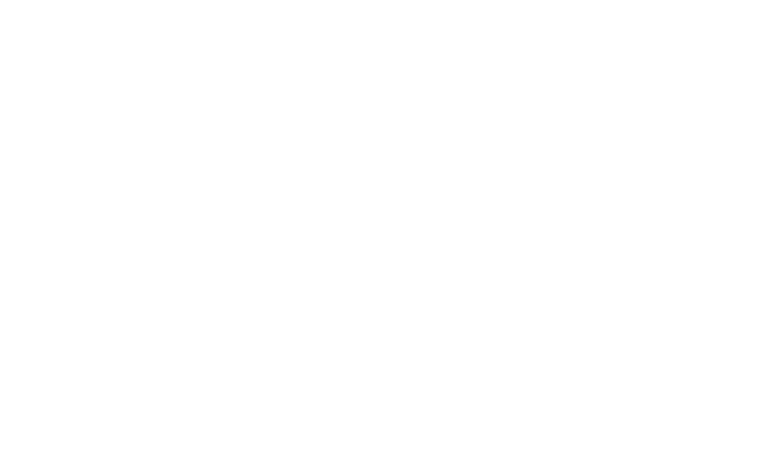 PLUS EVENT SOLUTIONS LOGO 2